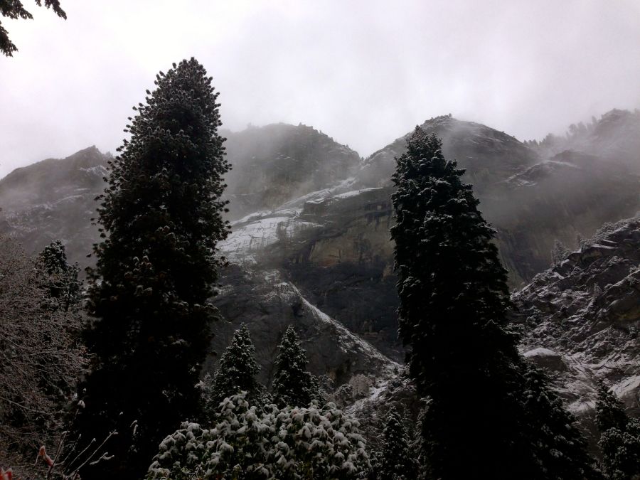 Yosemite Nationalpark