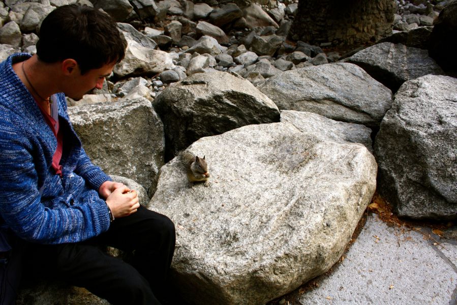 Yosemite Nationalpark