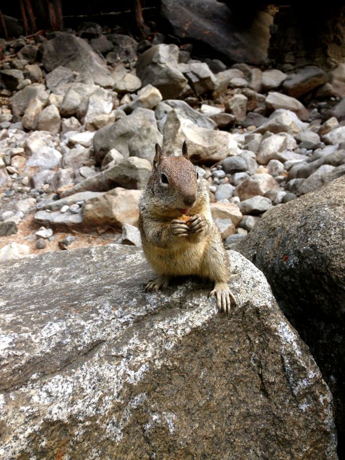 Yosemite Nationalpark