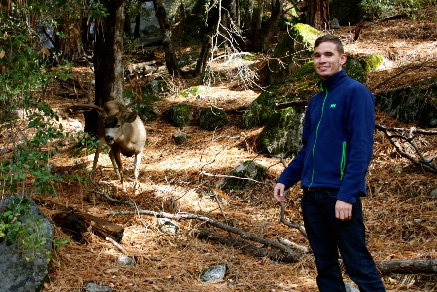 Yosemite Nationalpark